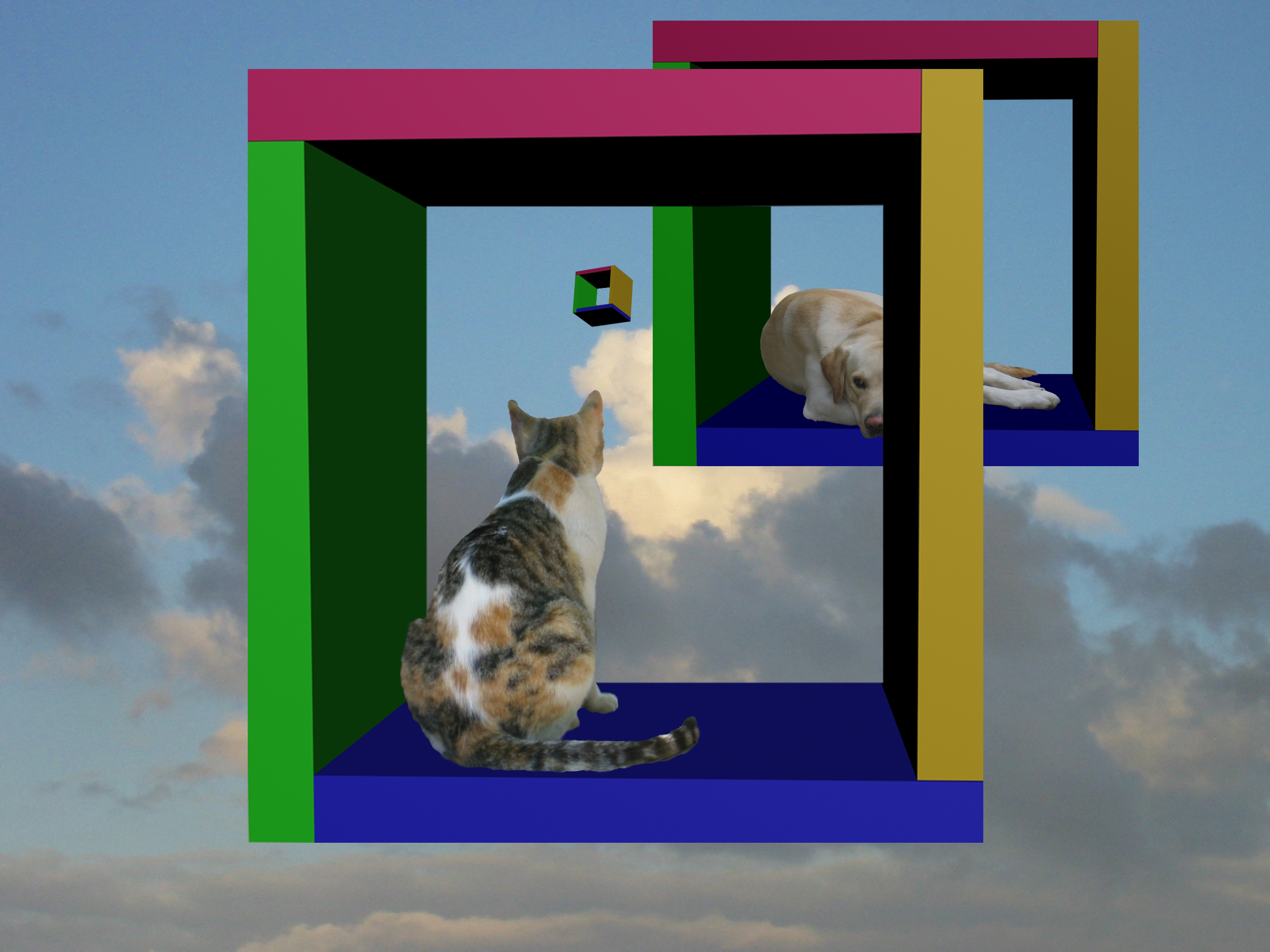 3D Gato y Perro